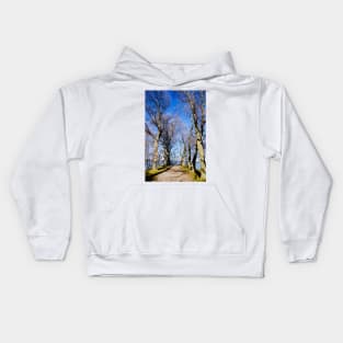 Bay view from Dundurn Castle Kids Hoodie